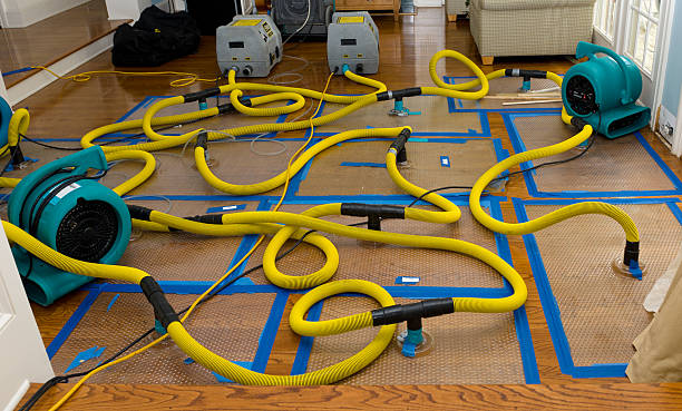 Professional Storm Water Damage Restoration technician working in Hadley, MI